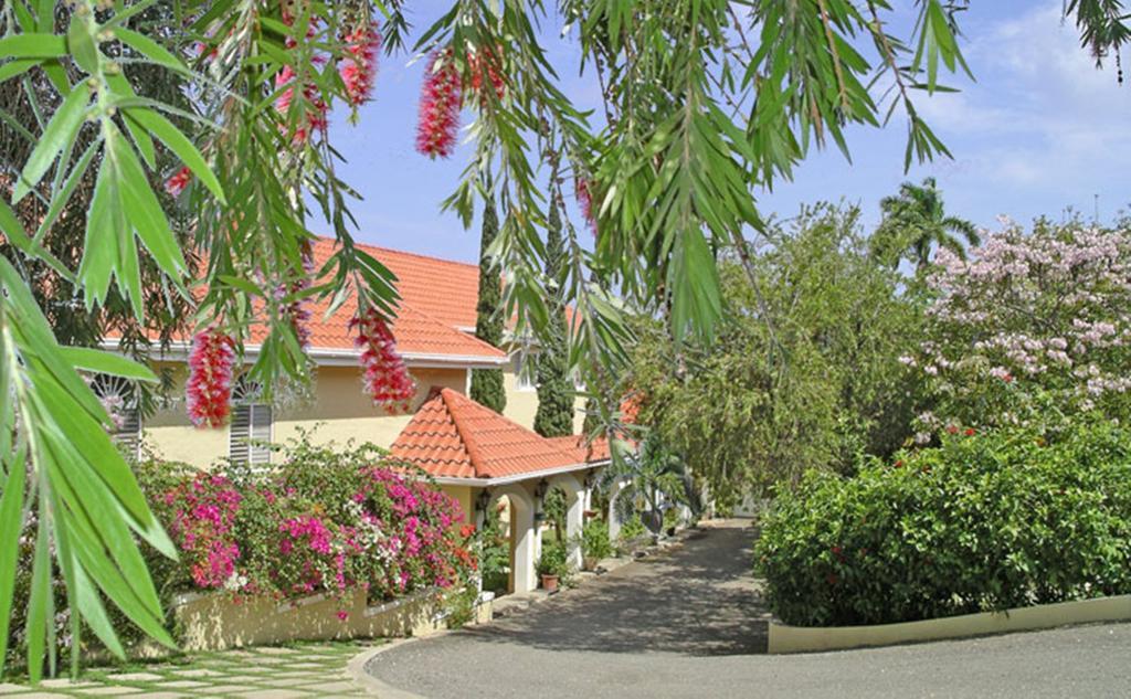 Polkerris Bed & Breakfast Montego Bay Exteriör bild