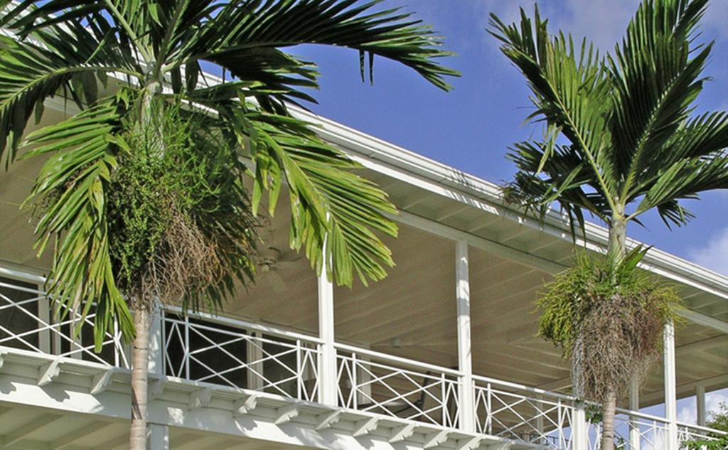 Polkerris Bed & Breakfast Montego Bay Exteriör bild
